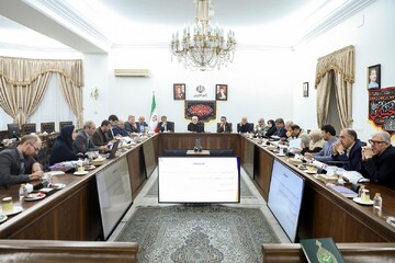 اصول و ضوابط ساماندهی نهادهای شورایی تصویب شد