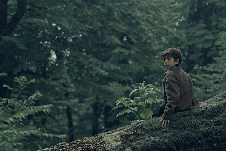 یک وسترن ایرانی در شمال کشور؛ پسربچهای که یک شبه پیر میشود!