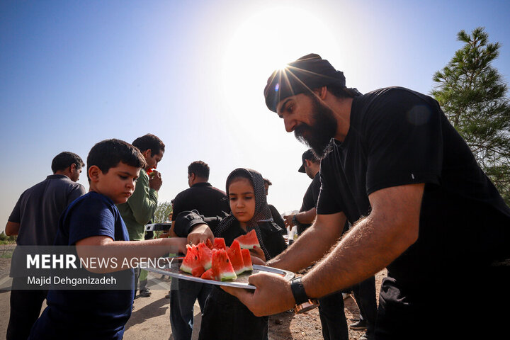 نقشه عشق رضوی در تهران؛ از حلیمپزان قرچک تا واکس صلواتی پاکدشت