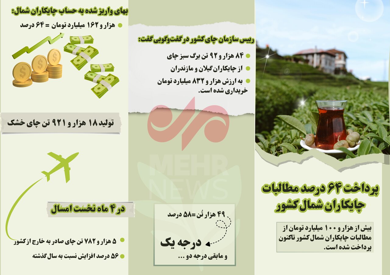 اینفوگرافیک| پرداخت ۶۴ درصد مطالبات چایکاران شمال کشور