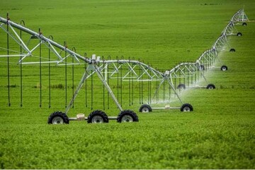 عباسی: تجهیز ۳.۲ میلیون هکتار از اراضی کشور به سامانه‌های نوین آبیاری