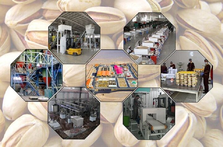 صنایع تبدیلی؛ حلقه مغفول در زنجیره تولید