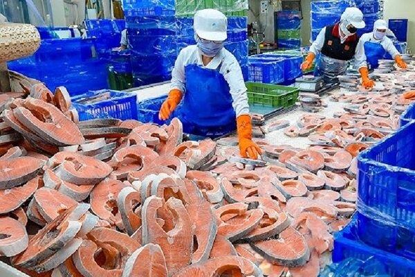 خودکفایی در تولید مرغ؛ غفلت از ترویج مصرف آبزیان در خراسان رضوی