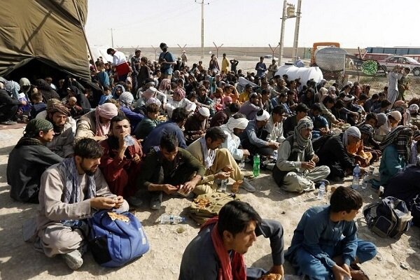سرهنگ شیبک: ۱۸۷ نفر اتباع بیگانه در هیرمند جمع آوری شدند سرهنگ شیبک: ۱۸۷ نفر اتباع بیگانه در هیرمند جمع آوری شدند