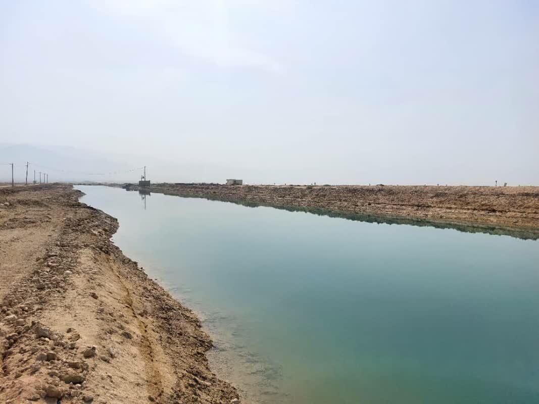 اجرای طرح پایلوت کنترل و پیشگیری از بیماریهای میگو در بردستان