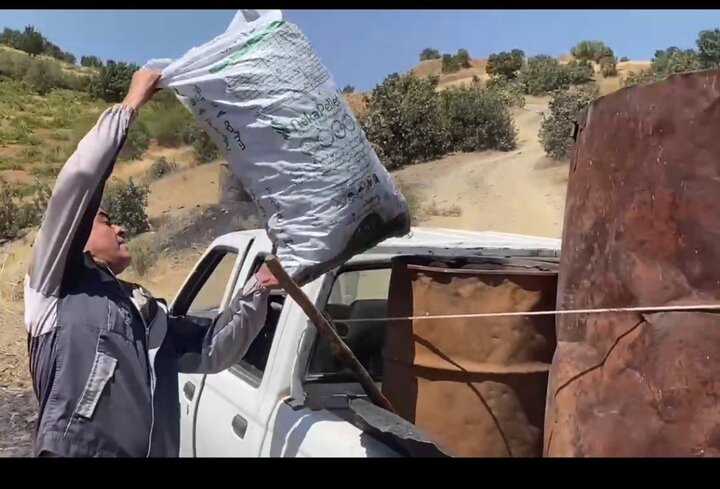 انهدام ۲۵ کوره زغالگیری غیرمجاز در مریوان انهدام ۲۵ کوره زغالگیری غیرمجاز در مریوان