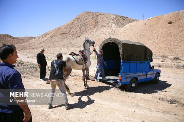 کاروان سوارکاری «حرم تا حرم»