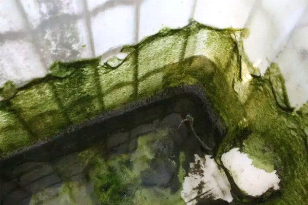 تأثیر دستگاه تصفیه آب خانگی بر سلامت پوست و مو تأثیر دستگاه تصفیه آب خانگی بر سلامت پوست و مو