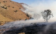 آتش‌سوزی محدود در غرب صیدگاه میان‌قلعه میانکاله مهار شد
