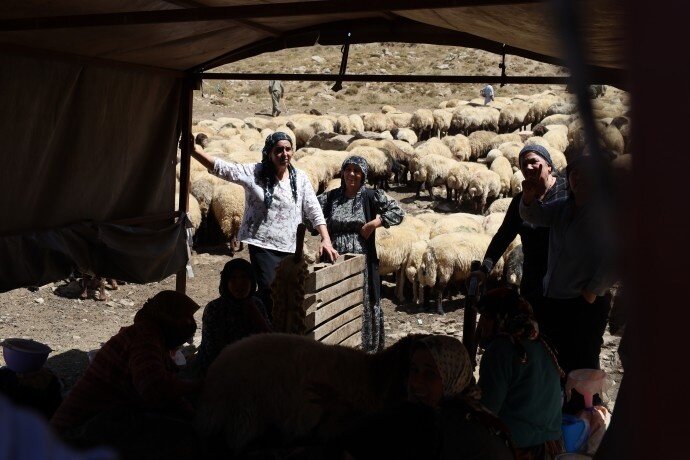 بێریڤانەکانی چیای کاتو مارینوس: ئەگەر ئاشتی لەگەڵ کورد ڕاستە، سەربازەکانتان بکشێننەوە