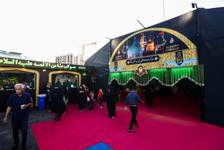 عشق و دلدادگی در مواکب امام رضایی