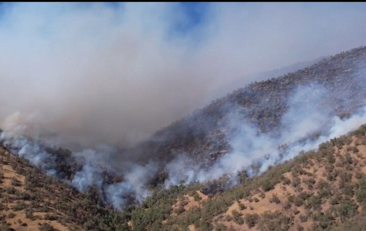 شعلههای آتش در جنگلهای مریوان؛ تلاش شبانهروزی برای مهار حریق