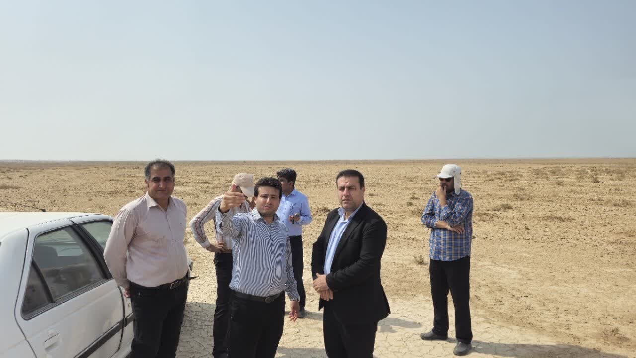 توسعه نیروگاه خورشیدی در دیلم با رعایت حقوق تولیدکنندگان محلی