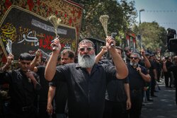 عزاداری هیئات مختلف از سراسر کشور در آستانه شهادت امام رضا(ع)