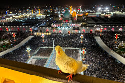 خطبه‌خوانی شب شهادت امام رضا (ع) در حرم مطهر رضوی