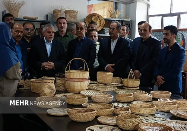 وزیر میراث فرهنگی از خانه صنایع دستی لیالستان بازدید کرد