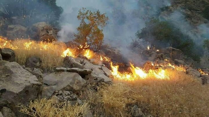 مهار کامل آتشسوزی در منطقه حفاظتشده شاهو و کوسالان