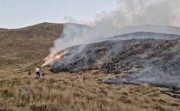 مهار آتش سوزی ۱۲۰ هکتاری در حاشیه پارک ملی لار