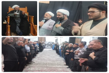 شهر قیر فارس در سوگ امام رضا(ع) غرق در ماتم بود