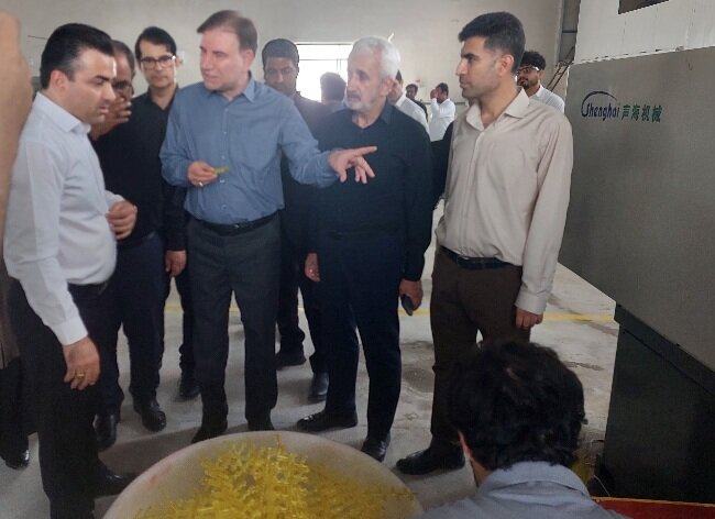 افتتاح پروژههای هفته دولت در بوشهر آغاز شد