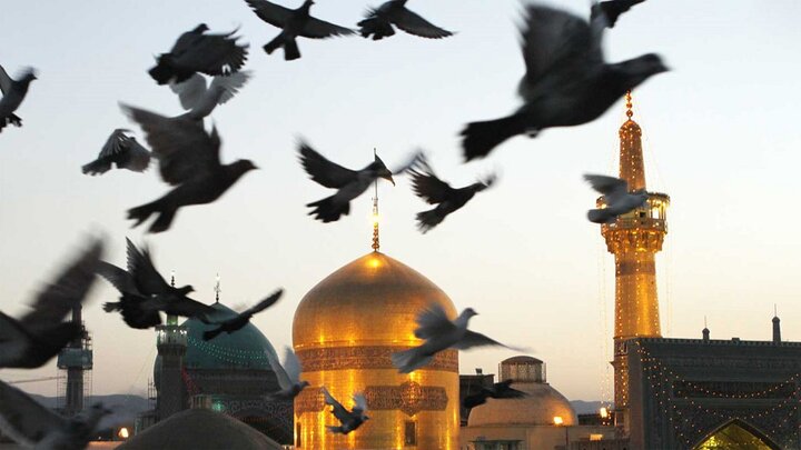 امام رضا (ع)؛ اسوه صبر و مقاومت در برابر ستمگران