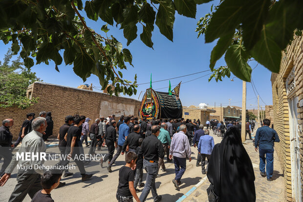 آیین «نخل برداری» شهادت امام رضا(ع) در بنادکوک دیزه