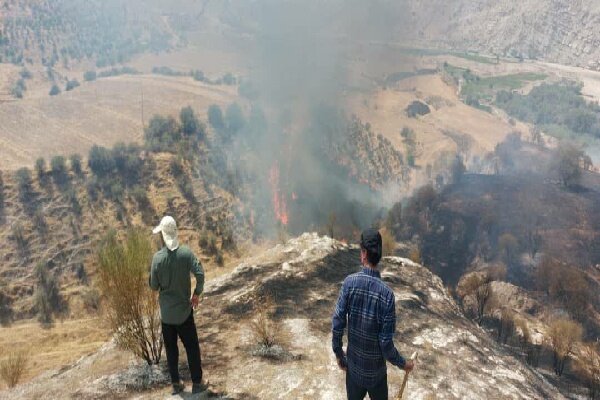 آتش سوزی روستای بی بی زلیخایی در کهگیلویه مهار شد آتش سوزی روستای بی بی زلیخایی در کهگیلویه مهار شد