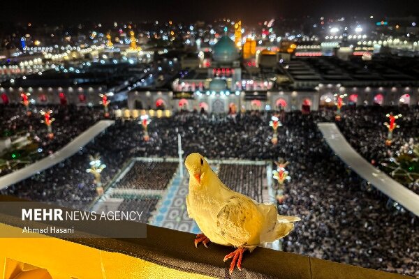 حواسش،مني،حسيني