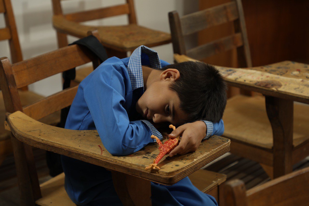 ماجرای «دم دراز زرافه»؛ آدمهایی که بدیهیات زندگی را هم رد میکنند!