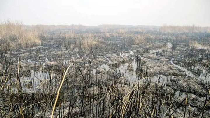 «هورالعظیم»؛ وقتی باغ عدن می‌سوزد