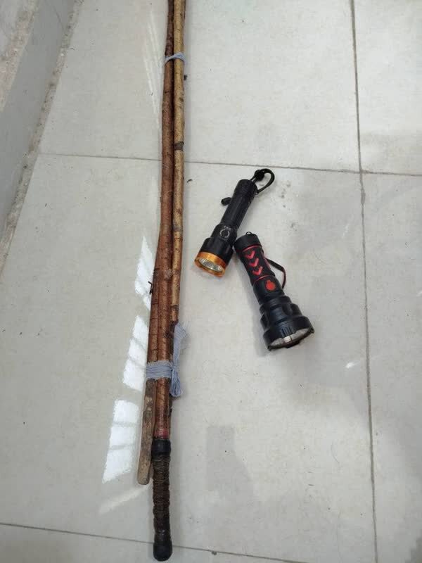 شکارچیان حیات وحش در دیلم به دام افتادند