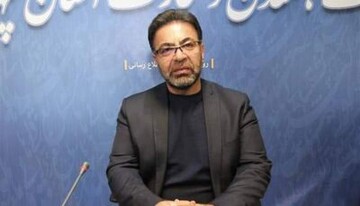 شمسی‌پور: آرام‌سازی بازار با حضور میدانی و مشارکت مردمی دنبال می‌شود