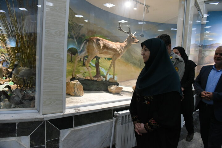 موزههای تاریخ طبیعی نقش مهمی در ارتقای آگاهی عمومی دارد