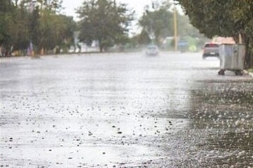 حیدری: بارش باران در هیچان نیکشهر به ۱۷ میلی‌متر رسید