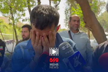 سارق چراغ‌های راهنمایی و رانندگی پایتخت دستگیر شد