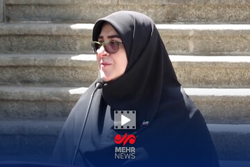 مهاجرانی: سهم انرژی‌های پاک در سبد انرژی کشور ۲.۵درصد افزایش یافته است