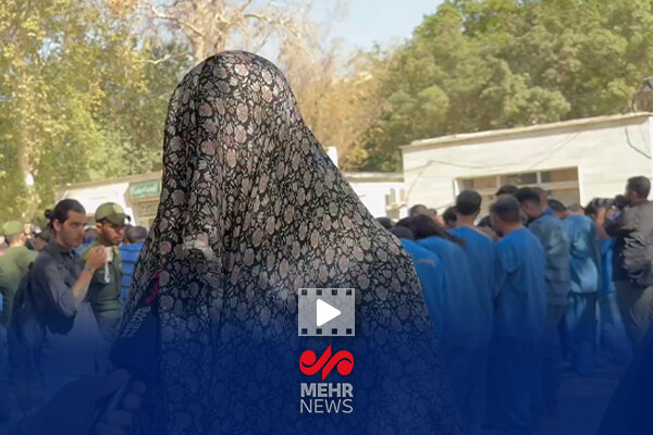 دستگیری سارق زن گوشوارههای کودکان در امامزاده صالح (ع) دستگیری سارق زن گوشوارههای کودکان در امامزاده صالح (ع)