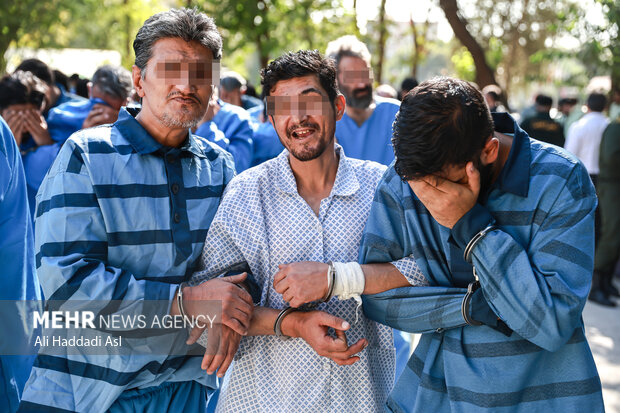 طرح دستگیری سارقان و مالخران 6