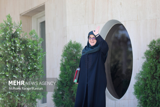 حاشیه جلسه هیئت دولت