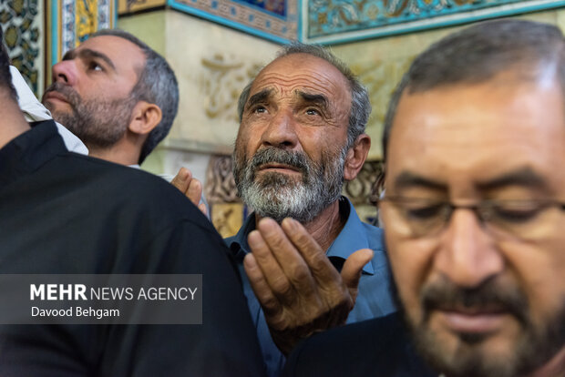 تعویض گل های ضریح حرم امام رضا(ع)