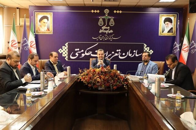 حقوقي،سازمان،تعزيرات،دادگستري،دعاوي،حكومتي،پرداخت،اجراي،وزار ...