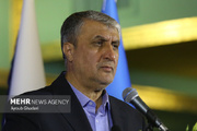 IAEA failed to back peaceful use of nuclear energy: Eslami