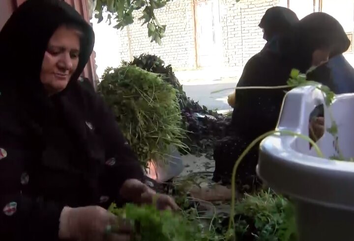 بانویی که مزرعه را کارخانه کرد!