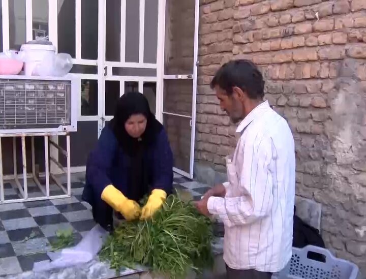 بانویی که مزرعه را کارخانه کرد!