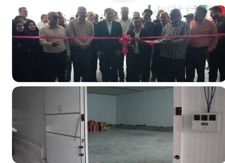 مجتمع بستهبندی و فرآوری خرما در دشتستان به بهرهبرداری رسید مجتمع بستهبندی و فرآوری خرما در دشتستان به بهرهبرداری رسید