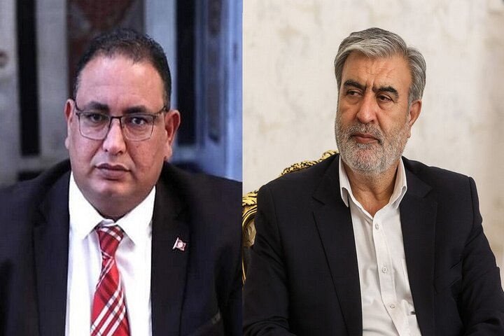 تقدیر عزیزی از همراهی تونس در محکومیت جنایت رژیم صهیونی در جنگ 12 روزه
