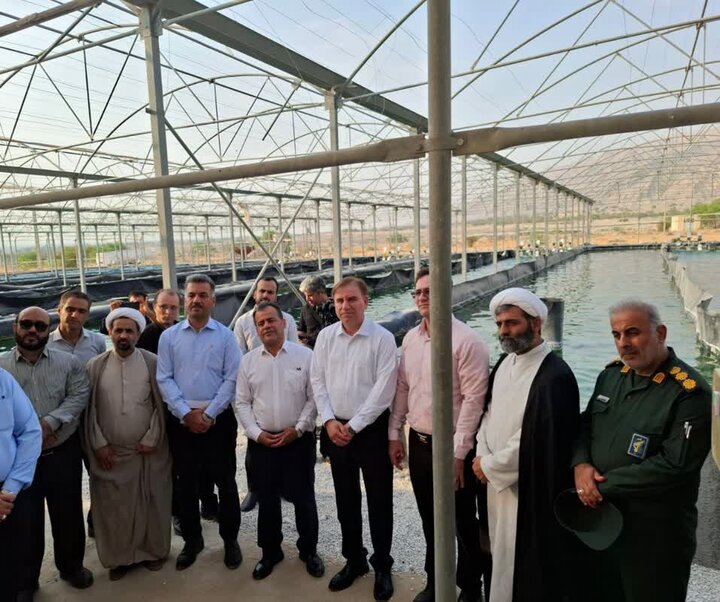 مجتمع تولید جلبک اسپیرولینا در تنگستان افتتاح شد مجتمع تولید جلبک اسپیرولینا در تنگستان افتتاح شد