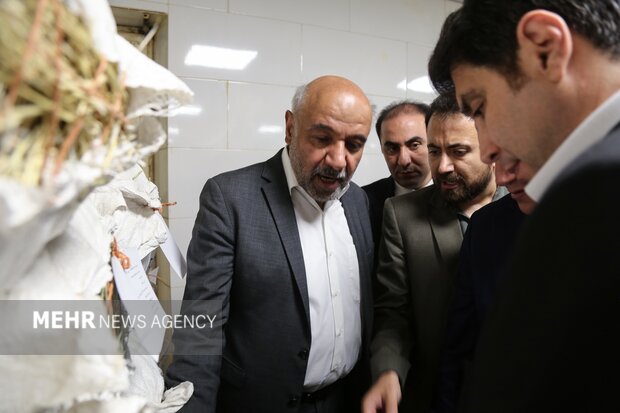 سفر یک روزه وزیر تعاون،کار و رفاه اجتماعی به کردستان