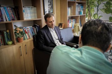 معاون بیمه مرکزی: هیچ نظارتی تخلف را صفر نمی کند