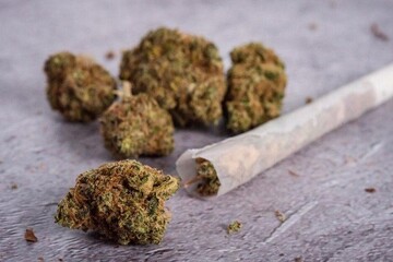 کشف بالغ بر ۱۲ کیلو گرم ماده مخدر حشیش در بندرعباس